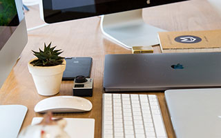 PG 斗鸡：PG 斗鸡竞技游戏 斗技技巧与冠军争夺攻略汇总